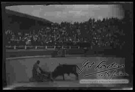 Torero domando a un toro en la plaza Olimpic