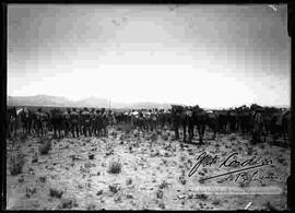 Grupo de soldados y comandante, recibiendo parte de oficiales en el campo de práctica de maniobras