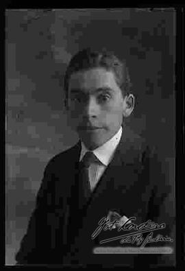 Reproducción del rostro de una dama.