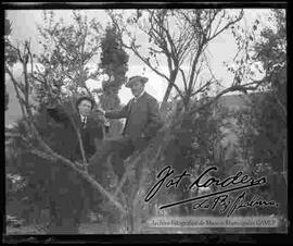 Día de campo familiar.  dos caballeros encima de la rama de un árbol, en un día de campo