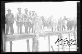 Hans Kunt, junto a soldados y un grupo de llamas en un puente del río desaguadero, cerca del campo de práctica de maniobras