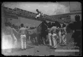 Cadetes del Colegio Militar, practicando saltos de caballería